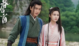 任嘉伦演的古装电视剧,风华绝代，侠骨柔情演绎传奇人生