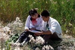 青谷子电视剧,青春岁月里的奋斗传奇